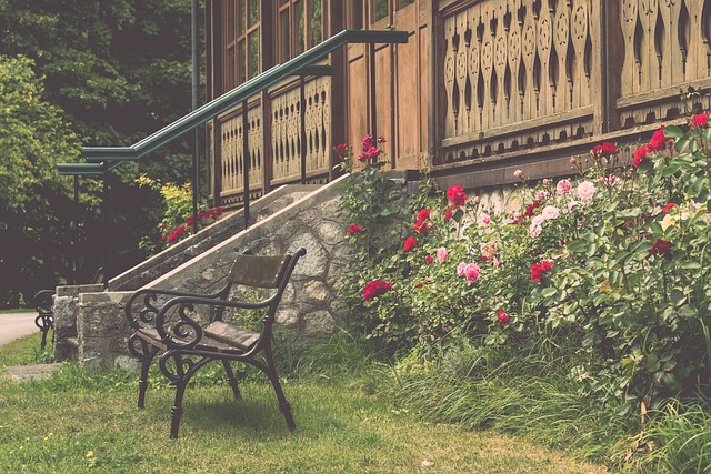 国际赛场的 国际赛场的