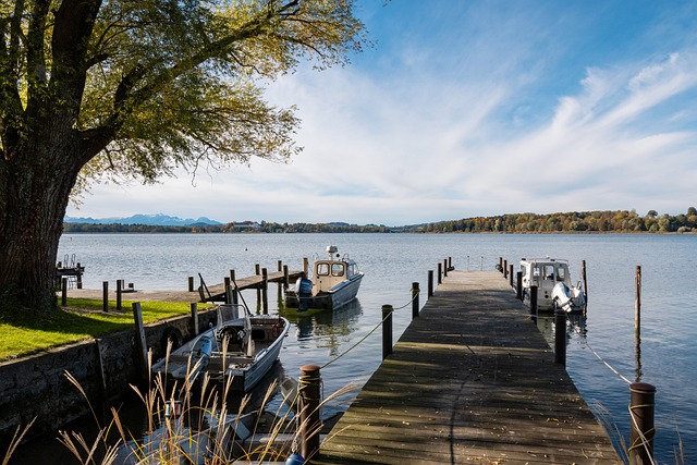 发表了看法 发表了看法