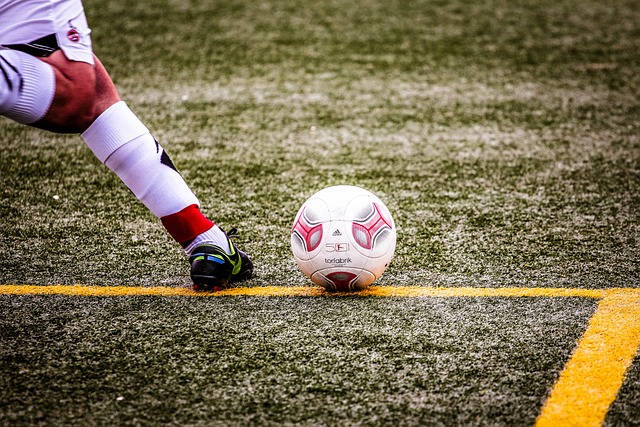 狼无疑是一 狼无疑是一