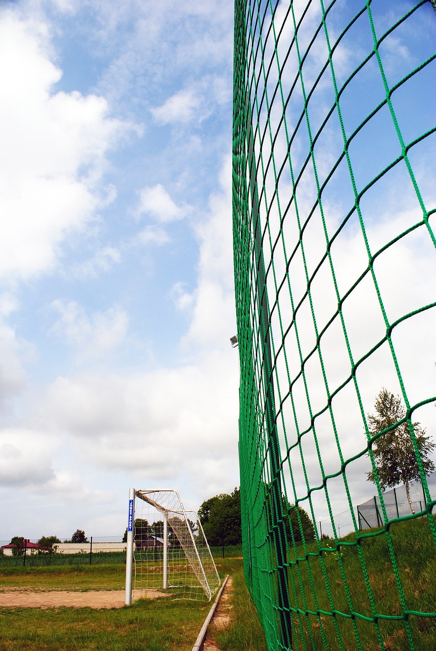 确保比赛的 确保比赛的