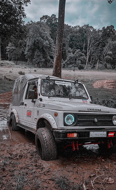 持与奋斗 持与奋斗