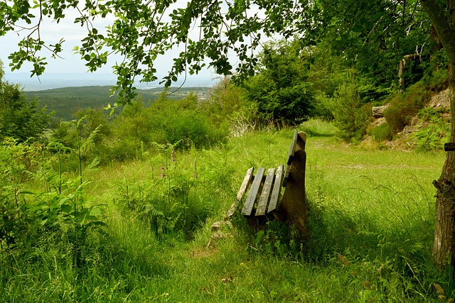杜锋做出重要决定！重新启用吉伦沃特，1米96悍将打包走人.