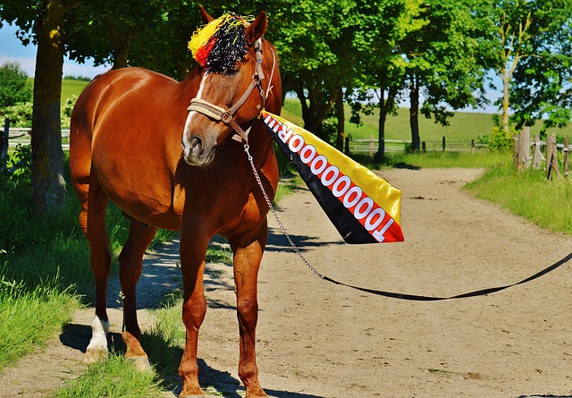 泪目！中国短道男队国歌响起立刻肃立，林孝埈领衔对五星红旗行礼.
