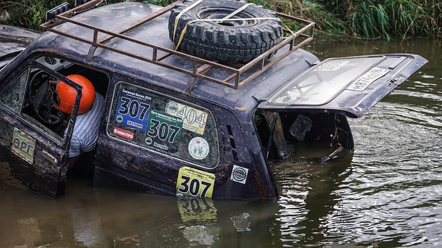 巩固拜仁在 巩固拜仁在